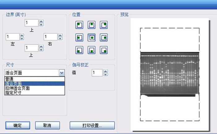 雙向凝膠電泳儀